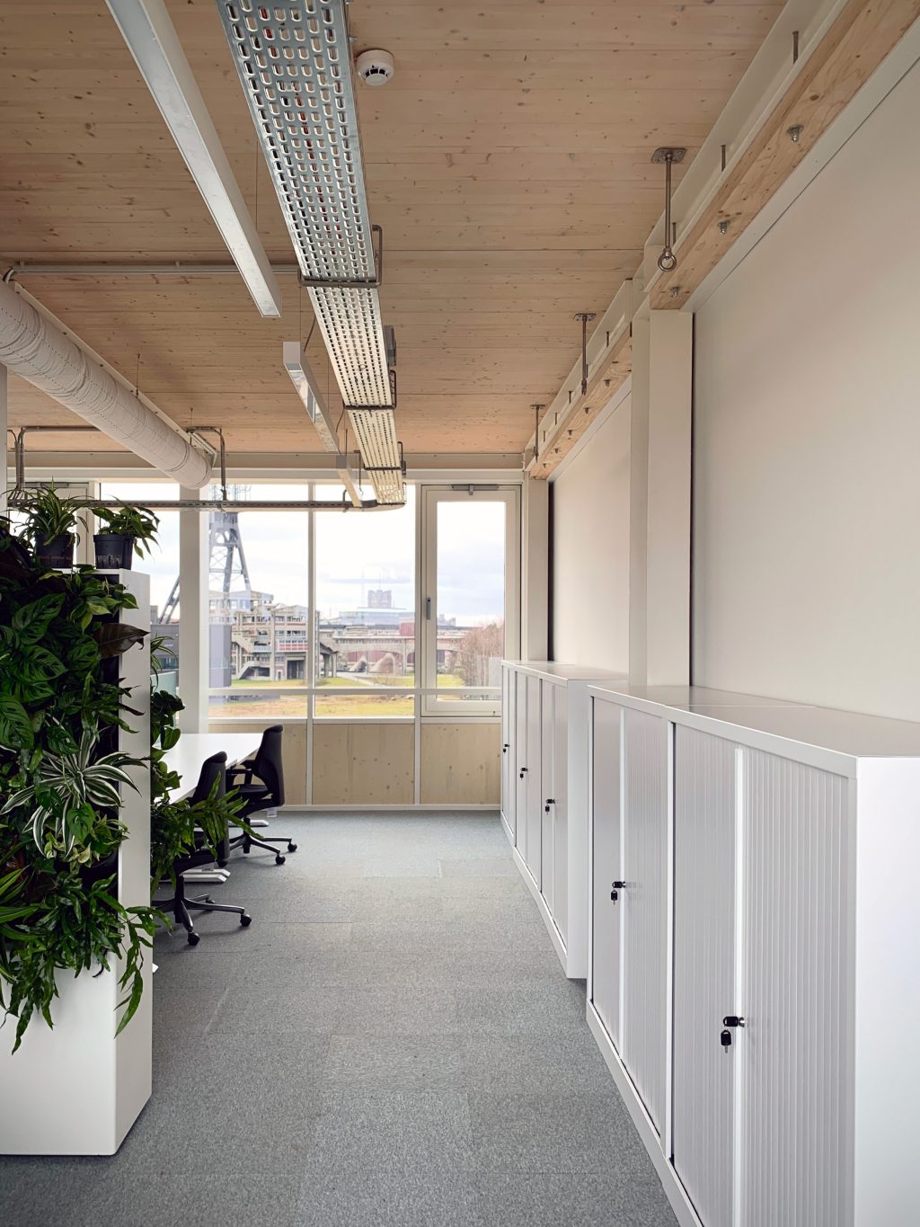 Construc THOR IMG 2480 WEB