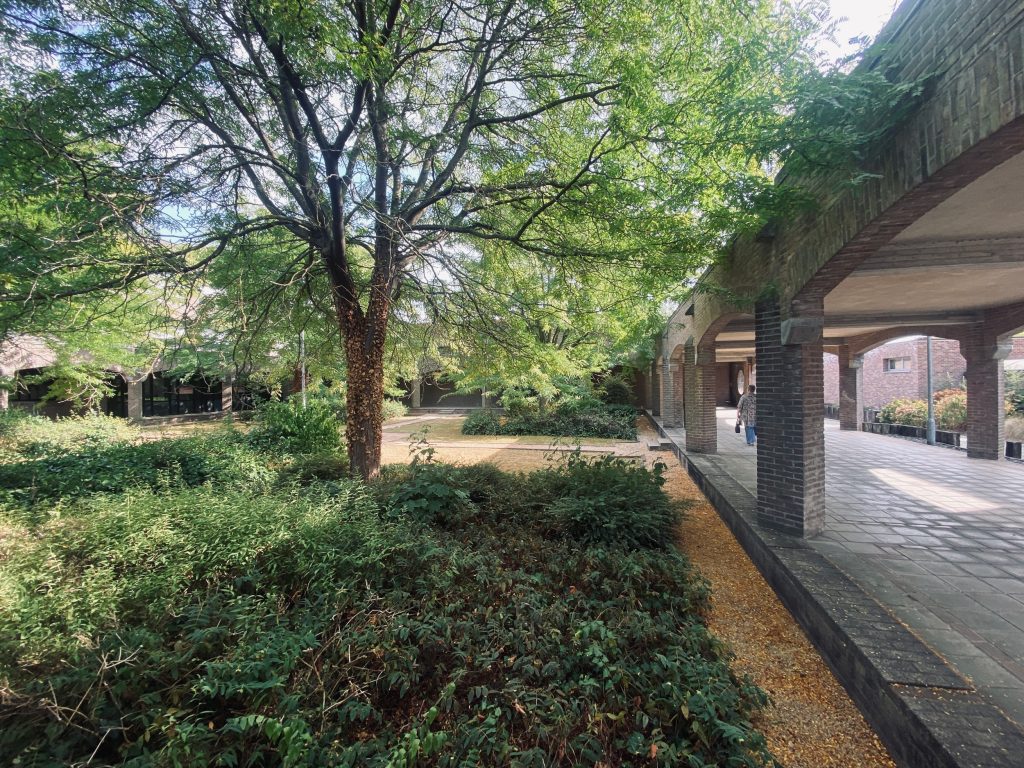 AC Ninove PUB FOT 2 WEB